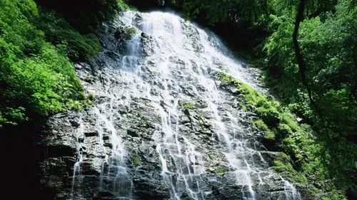 可靠性节能